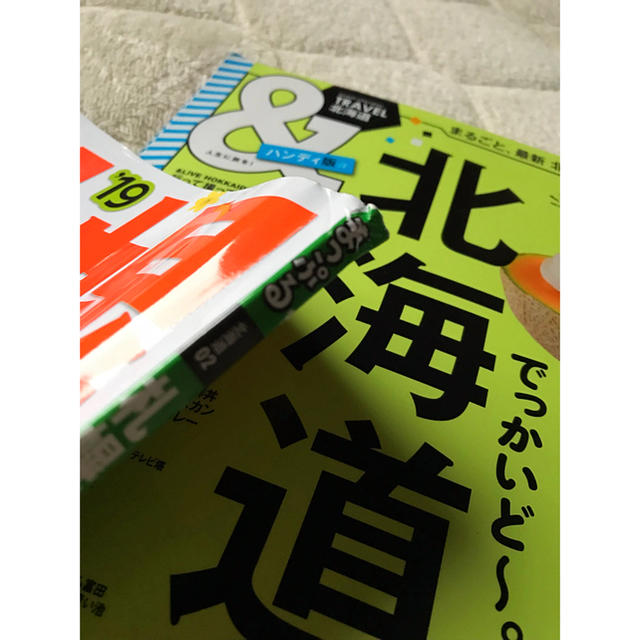 2019年版 北海道 ガイドブック エンタメ/ホビーの本(地図/旅行ガイド)の商品写真