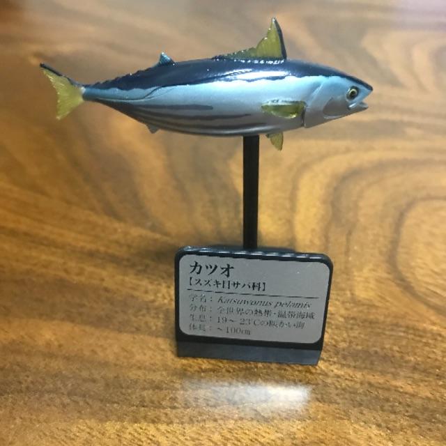 海洋堂(カイヨウドウ)のお魚フィギア: カツオ エンタメ/ホビーのフィギュア(その他)の商品写真