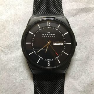 スカーゲン(SKAGEN)のスカーゲン SKW6006(腕時計(アナログ))