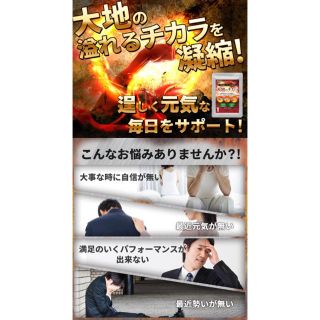 トナカイの角 マカ 高麗人参 パワー 7種配合　大地のチカラ　1ヵ月分 田七人参(その他)