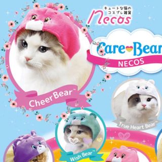 ケアベア(CareBears)の ネコス ケアベア  Cheer Bear  ねこのかぶりもの(猫)