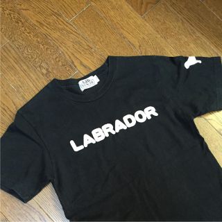 ラブラドールリトリーバー(Labrador Retriever)のお値下げ中！！ラブラドール  Tシャツ  L(Tシャツ(半袖/袖なし))