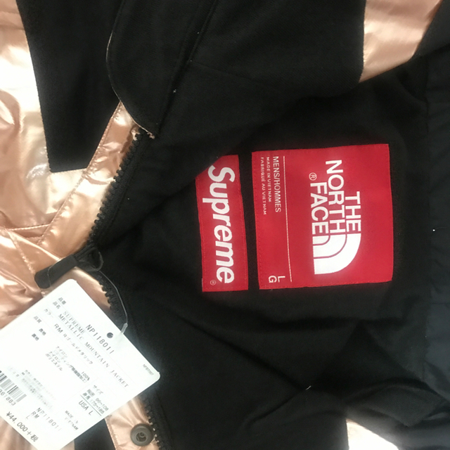 Supreme(シュプリーム)のL Supreme The North Face Metallic メンズのジャケット/アウター(マウンテンパーカー)の商品写真