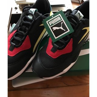 プーマ(PUMA)のプーマ サンダー スペクトラ 25CM 新品(スニーカー)