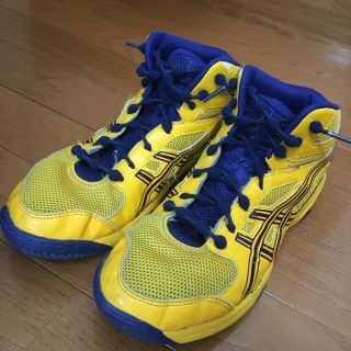 アシックス(asics)のバスケシューズ  ダンクショット(バスケットボール)