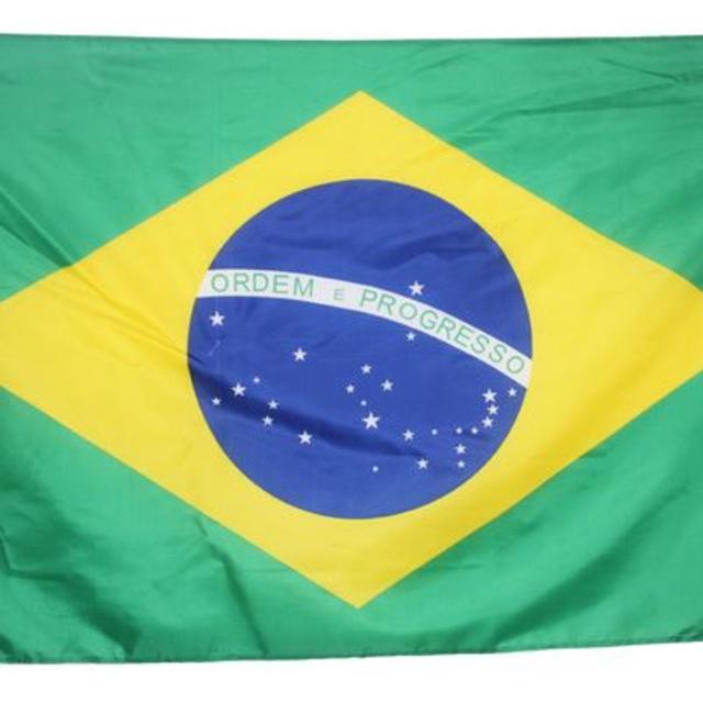 即買OKブラジル国旗 Brasilタペストリー 150X90cmレストラン応援 インテリア/住まい/日用品のカーテン/ブラインド(ロールスクリーン)の商品写真