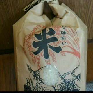 新潟のお米コシヒカリ２kg×２個(米/穀物)