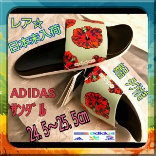 アディダス(adidas)の日本未発売  adidas アディダス サンダル 24.5～ 25.5スリッパ(サンダル)