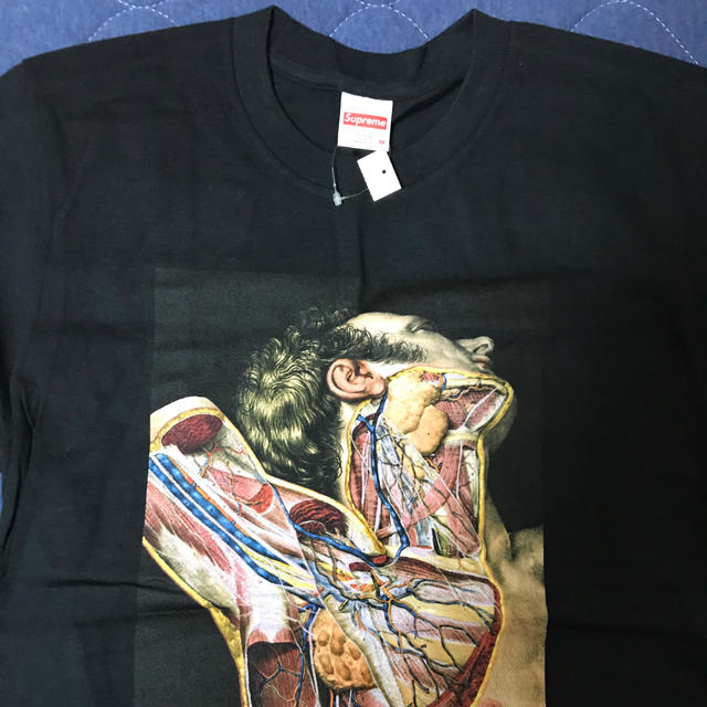 Supreme(シュプリーム)のれん様専用Supreme Undercover Anatomy Tee メンズのトップス(Tシャツ/カットソー(半袖/袖なし))の商品写真