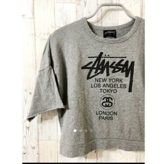 ステューシー(STUSSY)のSTUSSY Tシャツ(Tシャツ(半袖/袖なし))