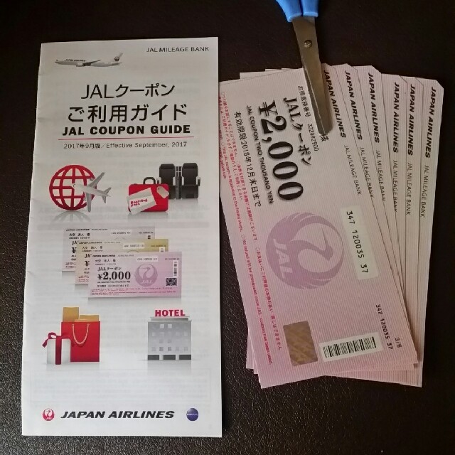 JAL クーポン 911様専用です。 richproducts.com.au