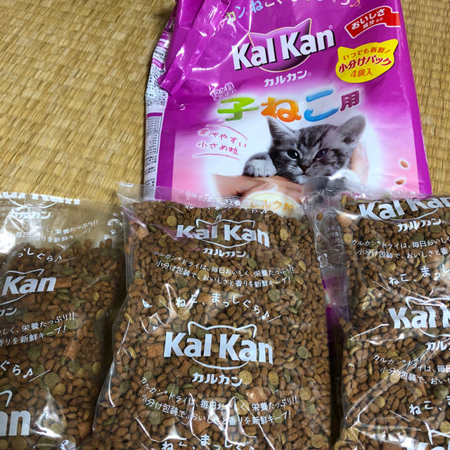 銀河 疑い 遠洋の カルカン 子猫 Smerfspecialmarkets Com 銀河 疑い 遠洋の カルカン 子猫 Smerfspecialmarkets Com