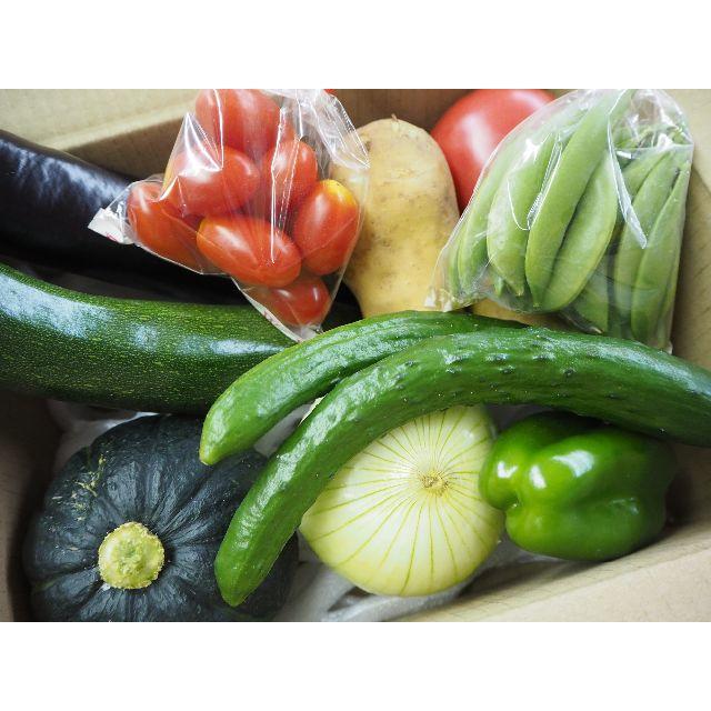 60サイズ　新鮮野菜　詰合せ　　送料込み　熊本産 食品/飲料/酒の食品(野菜)の商品写真