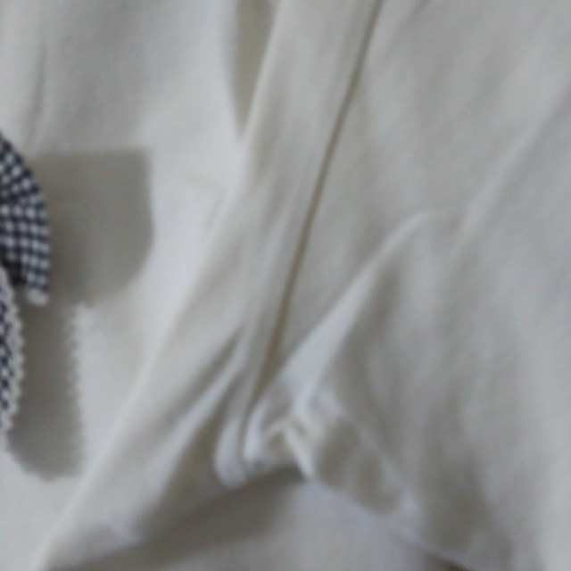 KANEKO ISAO(カネコイサオ)の【6月28日まで💡】wonderfulworld・カットソー レディースのトップス(カットソー(半袖/袖なし))の商品写真