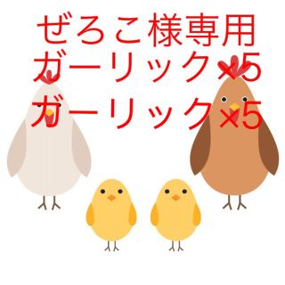 鳥皮せんべい ぜろこ様専用(その他)