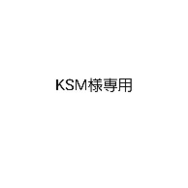 KSM様専用 その他のその他(その他)の商品写真