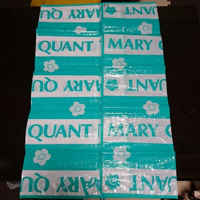 MARY QUANT(マリークワント)のMARY QUANT レジャーシート エンタメ/ホビーのコレクション(ノベルティグッズ)の商品写真