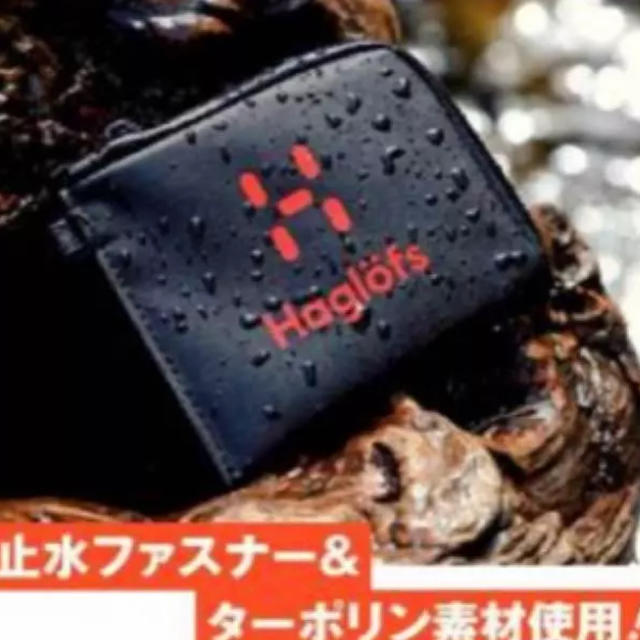 Haglofs(ホグロフス)の♡新品♡BE-PAL♡付録♡ スポーツ/アウトドアのアウトドア(その他)の商品写真