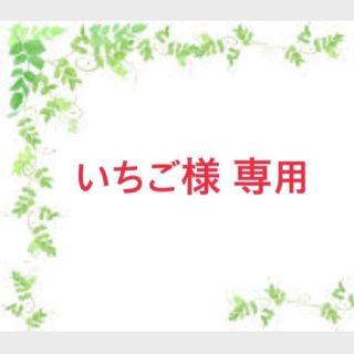 サンエックス(サンエックス)のいちご様 専用(ペンケース/筆箱)