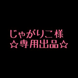 じゃがりこ様、専用出品　 スタディープランナー(その他)