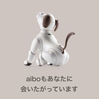 ソニー(SONY)のAIBO としぞう様専用(その他)