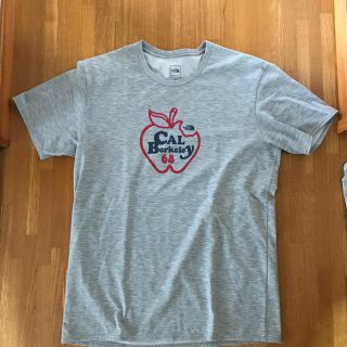 ザノースフェイス(THE NORTH FACE)のノースフェイス グレー Tシャツ 美品(Tシャツ/カットソー(半袖/袖なし))