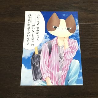 集英社 りぼん 猫田のことが気になって仕方ない 大詩りえ ポストカード 少女漫画非売品の通販 By Lay S Shop シュウエイシャならラクマ