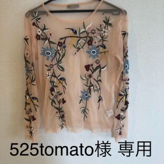 ザラ(ZARA)のZara シースルー刺繍カットソー♡(カットソー(長袖/七分))