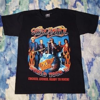 エアロスミス ワールドツアー 2010 Tシャツ AEROSMITH Tシャツ (Tシャツ/カットソー(半袖/袖なし))