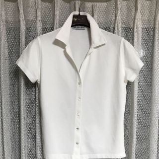 ロロピアーナ(LORO PIANA)のhikochan様 専用  ロロピアーナ   ポロシャツ2枚(ポロシャツ)