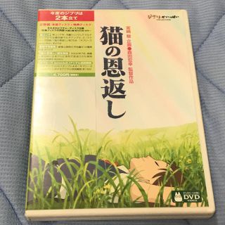 ジブリ(ジブリ)の猫の恩返しDVD(アニメ)