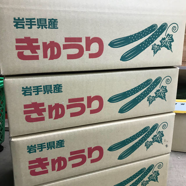 【農家直送】【朝採り】岩手県産 ハウス栽培きゅうり 約5Kg以上 食品/飲料/酒の食品(野菜)の商品写真