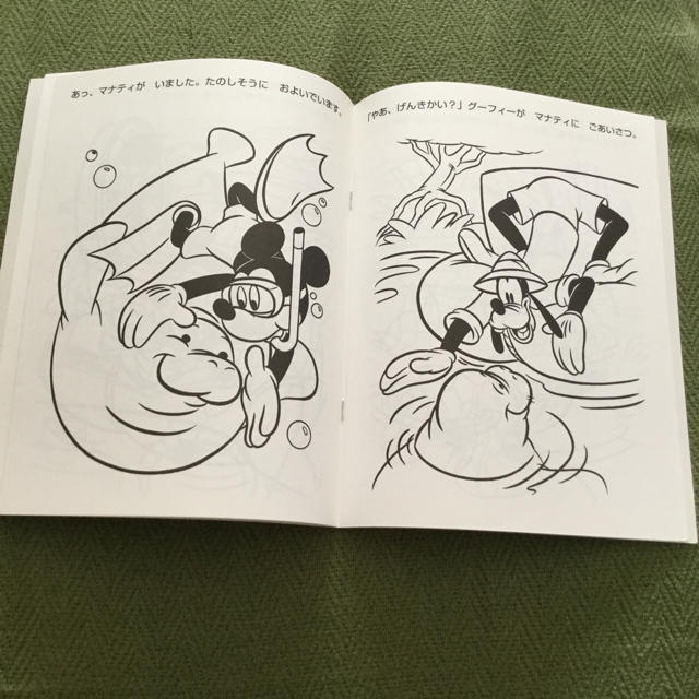 Disney ディズニーおはなしぬりえ ミッキーのどうぶつ探検の通販 By Saichan S Shop ディズニーならラクマ
