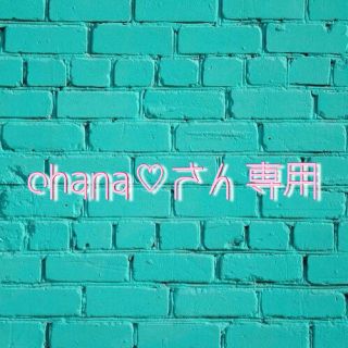 ohana♡さん専用(PCゲームソフト)