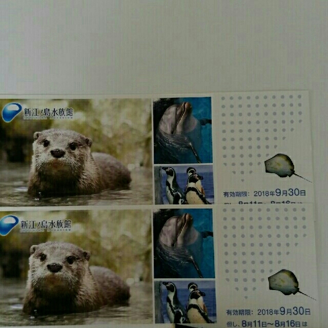 新江ノ島水族館　招待券２枚 チケットの施設利用券(水族館)の商品写真