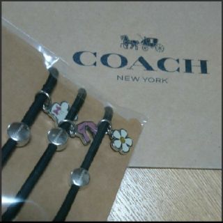 コーチ(COACH)の専用 ⭐ 新品* COACH ミニーちゃん ヘアゴム *(ヘアゴム/シュシュ)