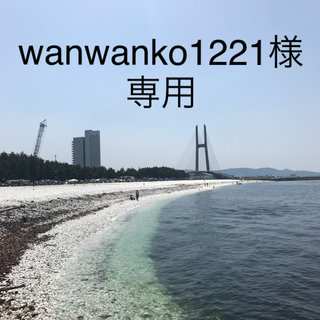 wanwanko1221様専用      トコちゃんベルト  M(マタニティ下着)