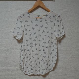 エイチアンドエム(H&M)のH&M 鳥柄シャツ(シャツ/ブラウス(半袖/袖なし))