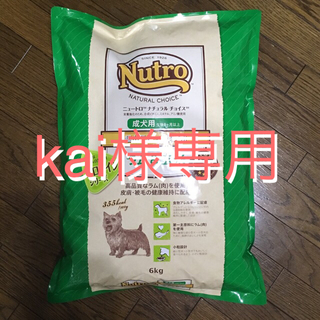 超小型犬〜小型犬用 ラム&玄米 成犬用 Nutro プロテインシリーズ 6kg(ペットフード)