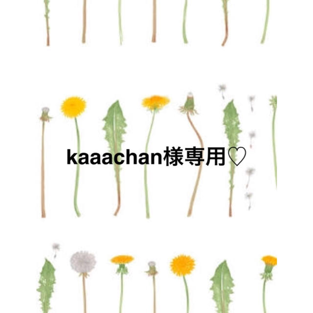 kaachan様専用♡ コスメ/美容のスキンケア/基礎化粧品(クレンジング/メイク落とし)の商品写真