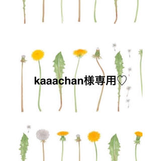 kaachan様専用♡(クレンジング/メイク落とし)