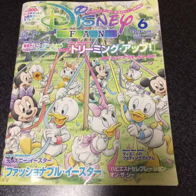 Disney(ディズニー)のディズニーファン6月号 エンタメ/ホビーの雑誌(アート/エンタメ/ホビー)の商品写真