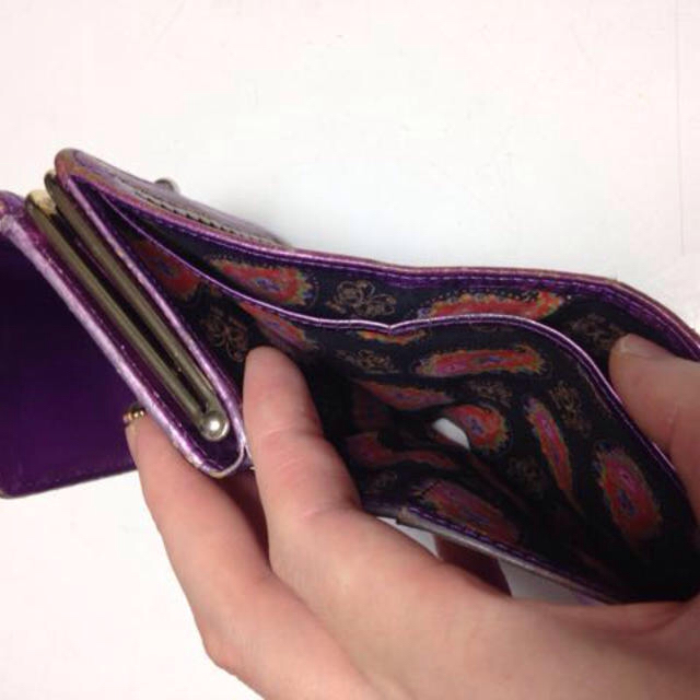 ANNA SUI(アナスイ)のANNA SUI大人気‼︎財布♪ 値下げ レディースのファッション小物(財布)の商品写真