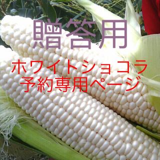 贈答用 フルーツみたいに甘いホワイト トウモロコシ 生で食べられます(野菜)