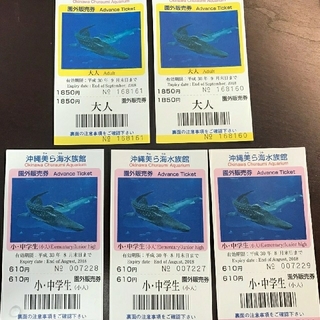 @gaichanz様専用 美ら海水族館チケット(水族館)