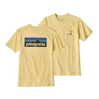 パタゴニア(patagonia)のpatagonia パタゴニア P-6ロゴ ポケットTシャツ　Sサイズ CSTY(Tシャツ/カットソー(半袖/袖なし))