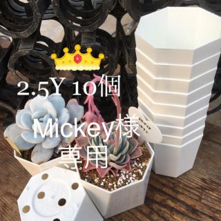  Mickey様専用★八角プラ鉢(その他)