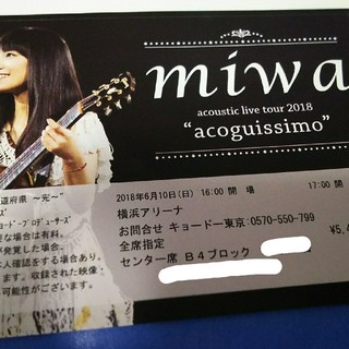 miwa live at 横浜アリーナ "47都道府県～完～" チケット(その他)