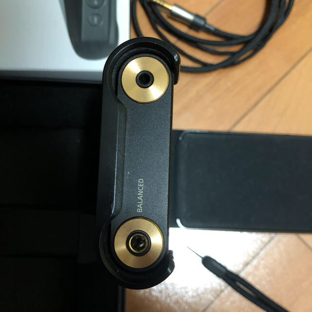 SONY WALKMAN NW-WM1A 純正ケース&バランス付 ワイド保証あり