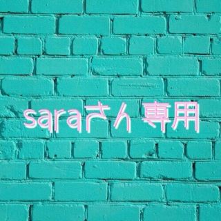 saraさん専用(PCゲームソフト)